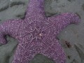 Low Tide
